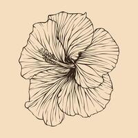 hibiscus bloem vector illustratie met lijn kunst