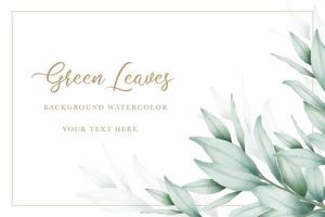 elegant eucalyptus bladeren achtergrond ontwerp vector