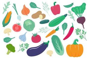 groenten. tekenfilm ui, maïs en wortel, komkommer en aardappel, kool. peper, tomaat en rode biet, knoflook vers boerderij groente vector reeks