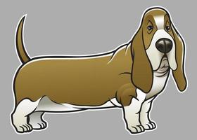 basset hound dog vector