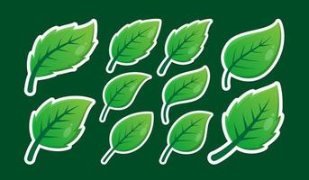 groen bladeren ontwerp vector illustratie