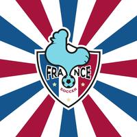 Franse voetbal-badge vector