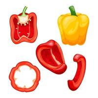 peper rood paprika voedsel reeks tekenfilm vector illustratie