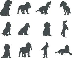 cocker spaniel hond silhouetten, cocker spaniel silhouet, cocker spaniel dier Svg, cocker spaniel vector