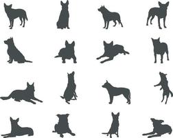 Australisch vee hond silhouetten, Australisch vee silhouetten, Australisch vee hond SVG vector