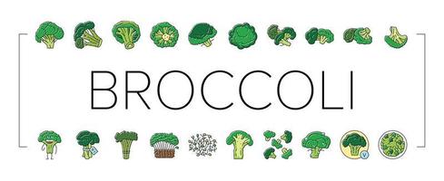 broccoli voedsel kool groente pictogrammen reeks vector