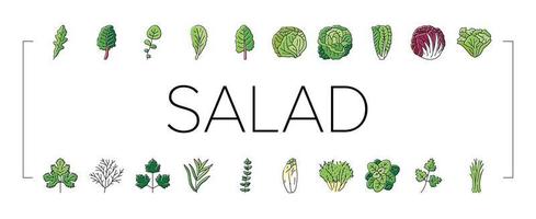 salade voedsel gezond groen vers pictogrammen reeks vector
