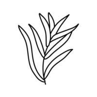 dragon salade voedsel lijn icoon vector illustratie