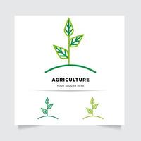 vlak embleem logo ontwerp voor landbouw met de concept van groen bladeren vector. groen natuur logo gebruikt voor agrarisch systemen, boeren, en plantage producten. logo sjabloon. vector