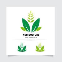 vlak embleem logo ontwerp voor landbouw met de concept van groen bladeren vector. groen natuur logo gebruikt voor agrarisch systemen, boeren, en plantage producten. logo sjabloon. vector