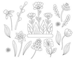 lentebloemen set - kamille, narcis, tulp, paardebloem, violet en wilg. vector tekening. zwarte lijn, omtrek. eerste sierplanten voor drukwerk, decor, design, decoratie en ansichtkaarten