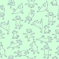 naadloze patroon. huisdieren yoga. hondenyoga - schattige puppy's die oefeningen doen en in asana staan. vectoroverzicht op een lichtgroene achtergrond vector