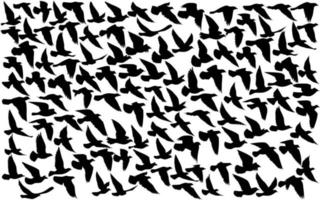 vliegende vogels silhouetten op geïsoleerde achtergrond. vector illustratie. geïsoleerde vogel met het vliegen. tatoeage en behang achtergrondontwerp. lucht en wolk met vliegvogel. kleurenpalet.