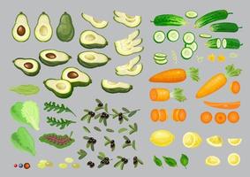 citroen, olijf, wortel, komkommer, avocado, en sla. vector groenten set.