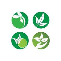 groen blad logo set vector