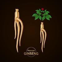 premie ginseng vector illustratie