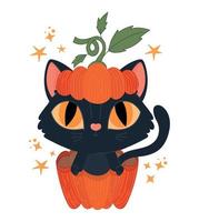 halloween kat in een pompoen vector