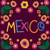 gekleurde Mexico banier vector