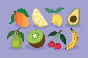 acht fruit reeks vector