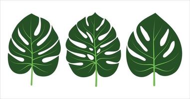 monstera bladeren icoon reeks verzameling. monstera tropisch fabriek icoon. monstera deliciosa bladeren icoon pak . vector illustratie