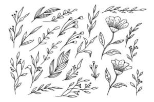 hand- getrokken bladeren en bloemen verzameling biologisch bloemen decoratief vector