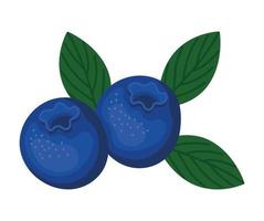 bosbes fruit ontwerp vector