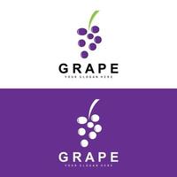 druif fruit logo, cirkel stijl fruit ontwerp, druif boerderij vector, wijn drankje, natuur icoon, illustratie sjabloon vector