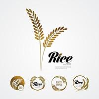 premie rijst- Super goed kwaliteit ontwerp concept vector. vector