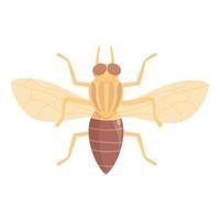 tseetsee vlieg insect icoon tekenfilm vector. Afrika mug vector