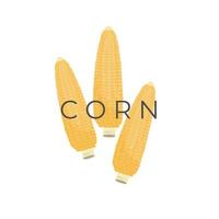 gemakkelijk maïs vector illustratie logo