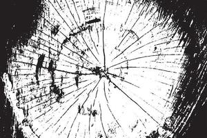 zwart en wit hout cirkel structuur en grunge achtergrond vector