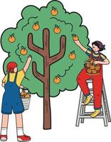 boeren zijn plukken fruit van bomen illustratie in tekening stijl vector