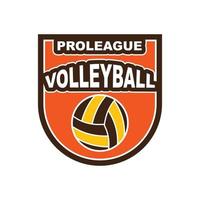 insigne en logo van volleybal club vector illustratie