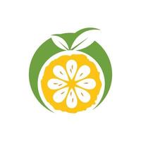 oranje fruit icoon vector logo illustratie