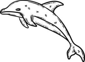 dolfijn dier kleur bladzijde voor volwassen vector