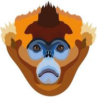 rhinopithecus. de gezicht van de aap is afgebeeld in vector stijl. een levendig beeld van een primaat. logo, illustratie geïsoleerd Aan wit achtergrond.