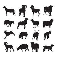 schapen silhouet vector illustratie reeks