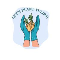 laten we fabriek tulpen belettering tekst. handen in tuinieren handschoenen Holding tulp bollen. aanplant tulpen. werk en rust uit in de tuin. vector illustratie.