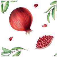 waterverf rijp granaatappel voor de helft gesneden met een Afdeling. hand- getrokken realistisch smakelijk granaat rood fruit geïsoleerd Aan wit achtergrond vector