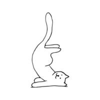 aanbiddelijk hand- getrokken kat zittend in yoga houding. geïsoleerd Aan wit achtergrond tekening voor textiel afdrukken, kind poster, schattig briefpapier. vector