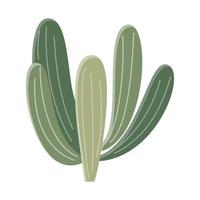 cactus illustratie in een vlak stijl Aan een wit achtergrond. huis planten cactus illustratie. vector