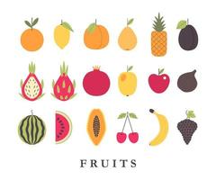 reeks van vruchten. gezond vegetarisch voedsel. exotisch fruit geïsoleerd Aan wit achtergrond vector