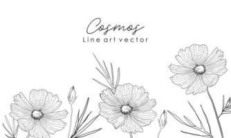 schetsen bloemen plantkunde verzameling vector