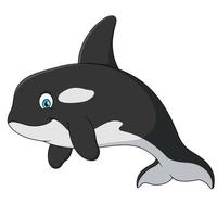 schattig orka tekenfilm illustratie. moordenaar walvis schattig tekenfilm vector