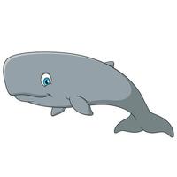 schattig sperma walvis tekenfilm illustratie vector