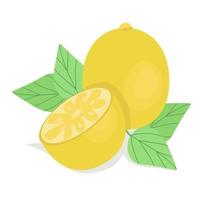 samenstelling met citroenen, rijpe citrusvruchten, helder geel tropisch fruit, seizoensgebonden vitamines, vector afbeelding in vlakke stijl.