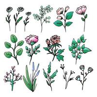 set van veld en verschillende kruiden, mooie bloem, lente takje met bladeren, floral vector-object in doodle stijl, bloemen hand tekenen, isoleren op een witte achtergrond. vector