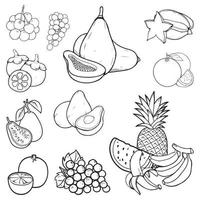 verzameling van fruit lijn kunst. vector illustratie voor kleur boek, kleur Pagina's, sticker, enz