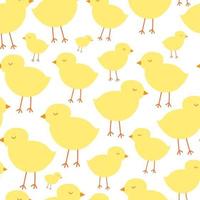schattig kip naadloos patroon. Pasen geel kippen Aan wit achtergrond. tekenfilm patroon in geel kleuren. omhulsel papier, Pasen decor, uitnodigingen. textiel. vector