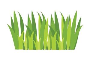 groen gras illustratie. groen gazon, bloem, natuurlijk grenzen, kruiden. vlak vector illustraties voor lente, zomer, natuur, grond, planten concept.